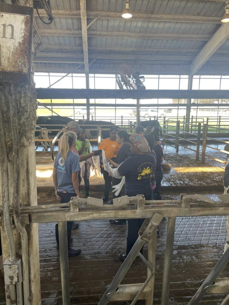 2024 Cohort working in a dairy barn