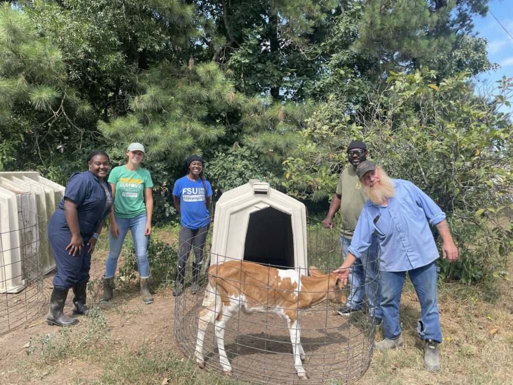 Members of 2024 Cohort pose with a brown and white calf