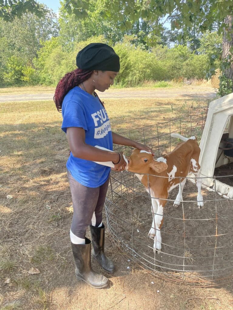Woman feeding brown and white calf a bottle