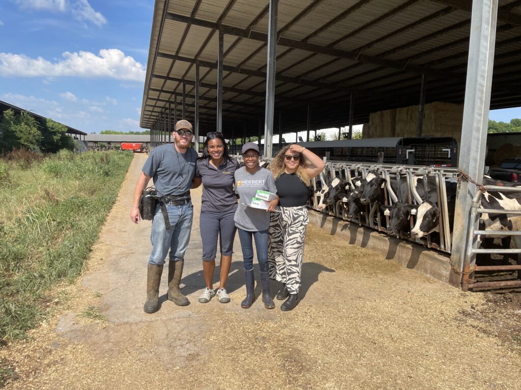 4 people standing in front of cows