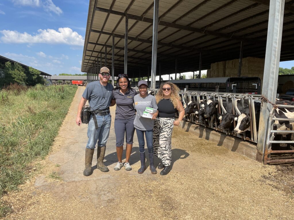 4 people standing in front of cows