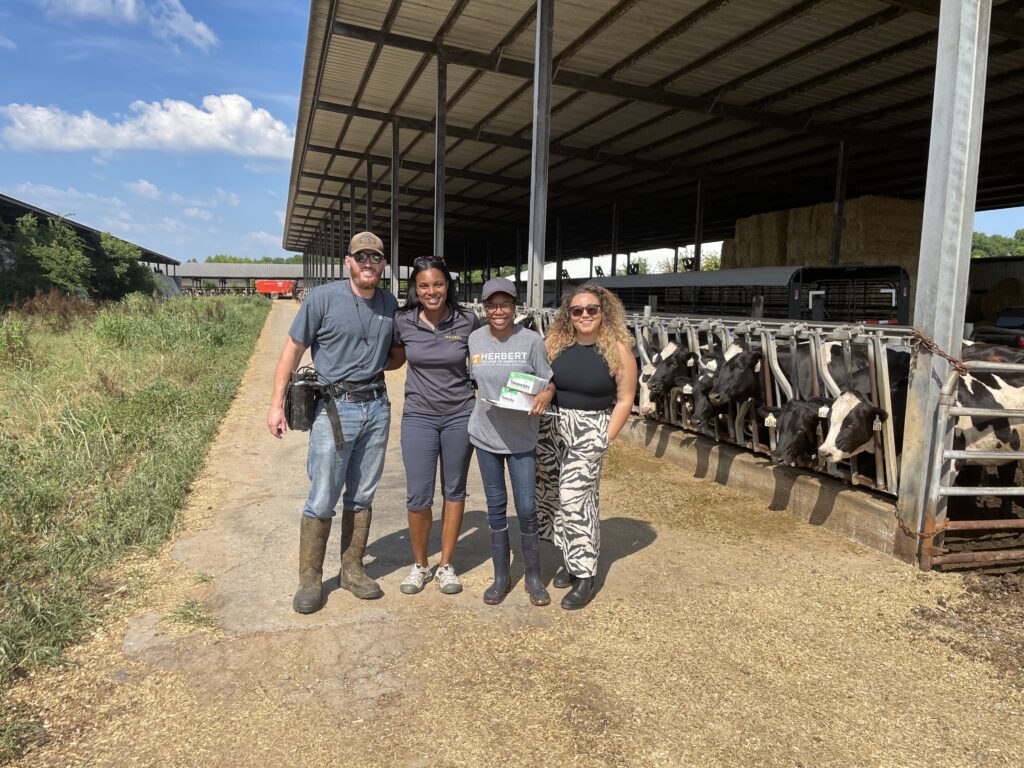 4 people standing in front of cows