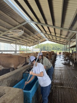 staff working in a dairy facility
