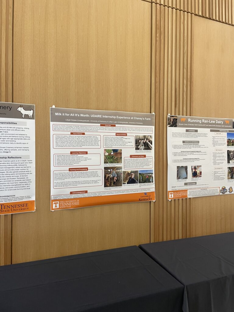 Poster presentations along wall