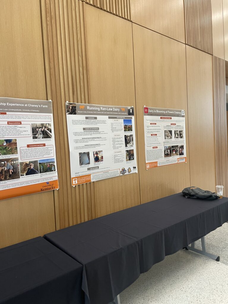 Poster presentations along wall
