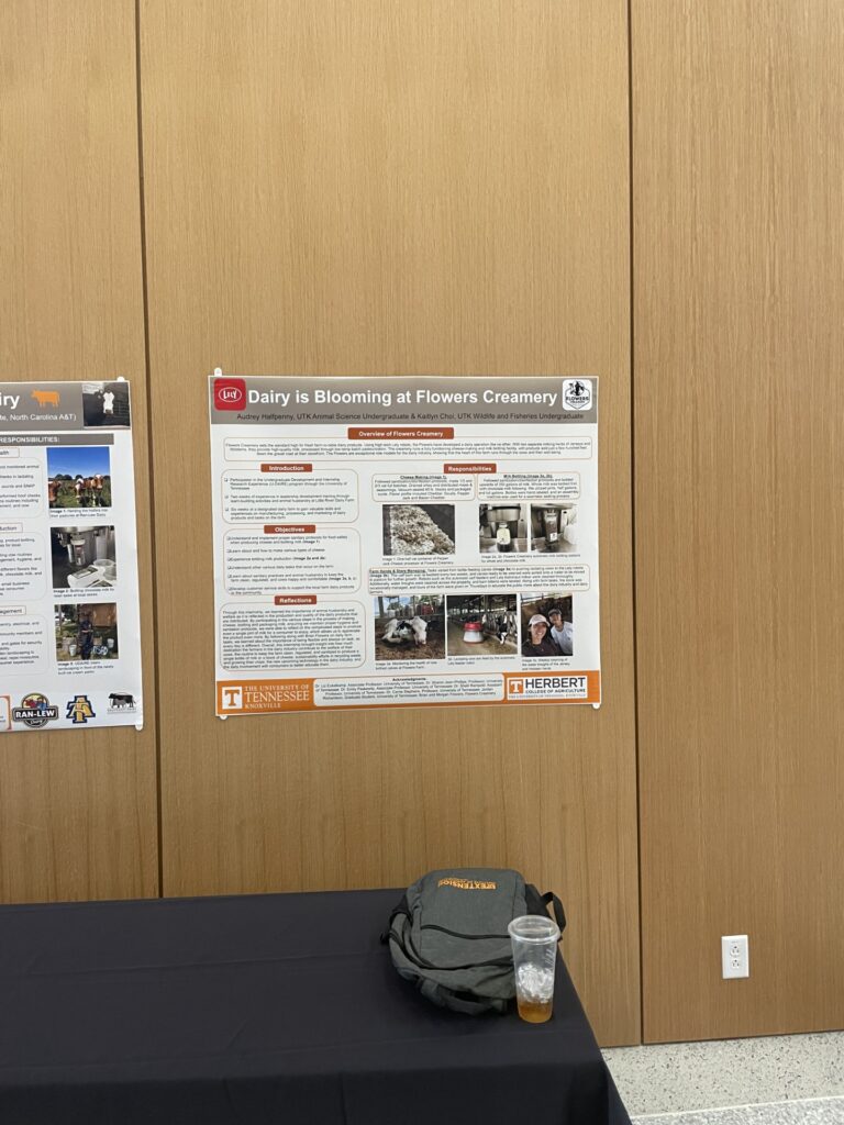 Poster presentation along wall