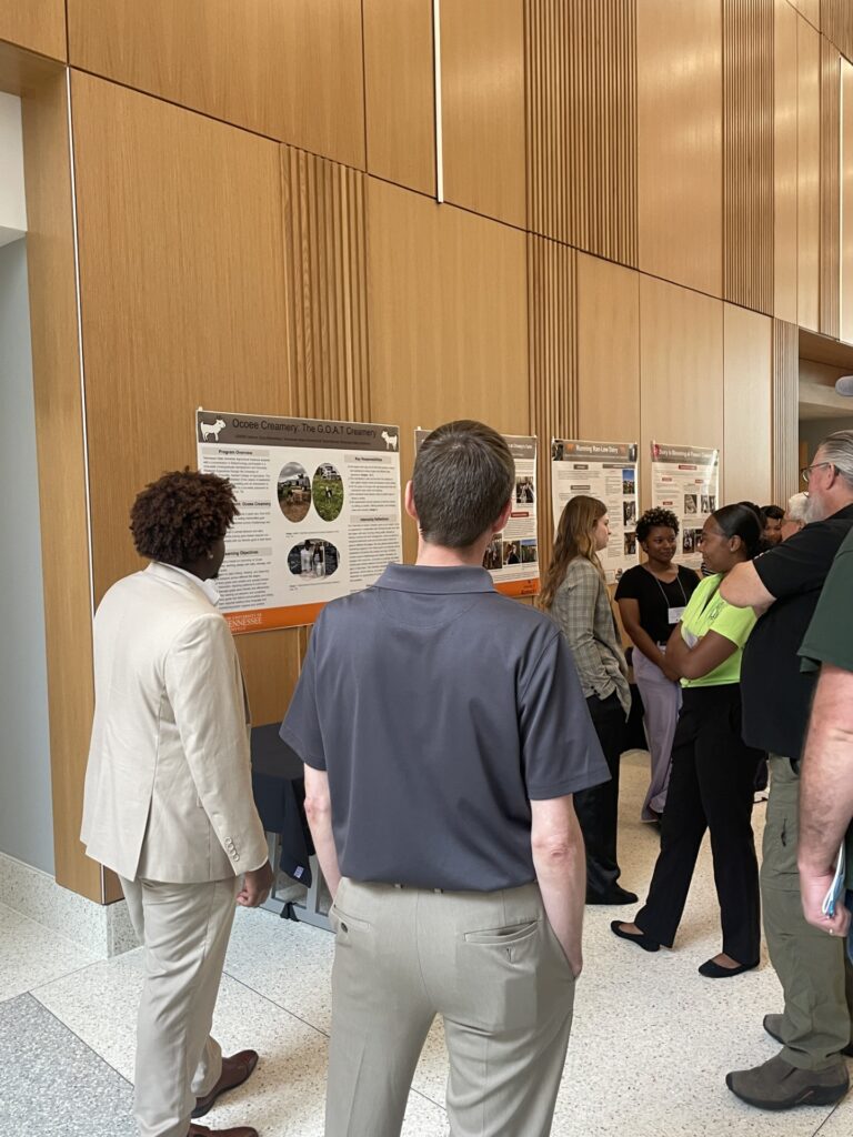 participants reviewing and discussing near poster presentations