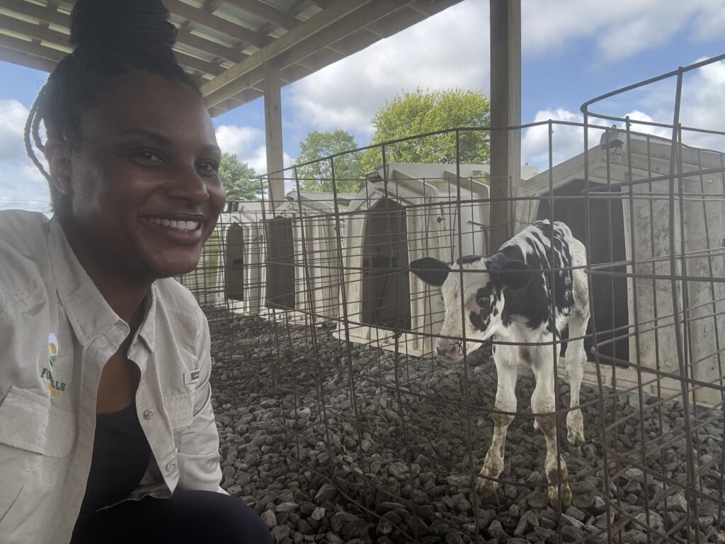 Dr. Jean-Philippe with a black and white calf